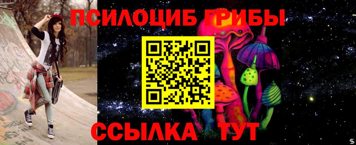Улан-Удэ  наркотики  Вход с VPN  Псилоцибиновые грибы Psilocybine cubensis 